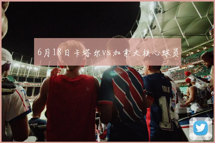 6月18日卡塔尔vs加拿大核心球员