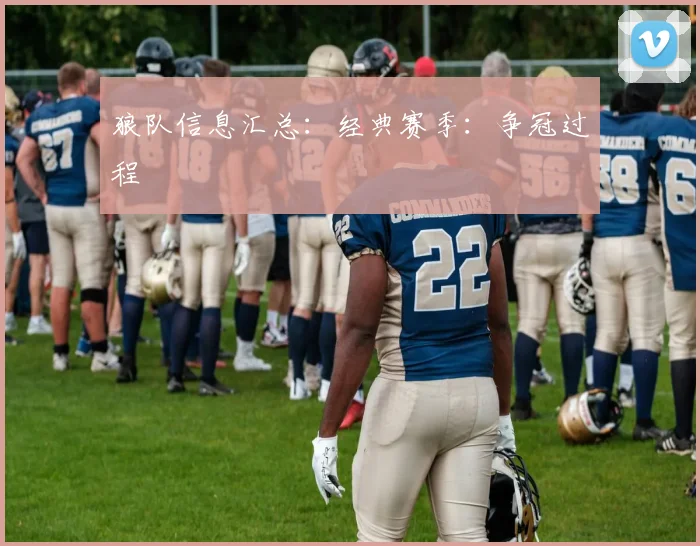 狼队信息汇总：经典赛季：争冠过程