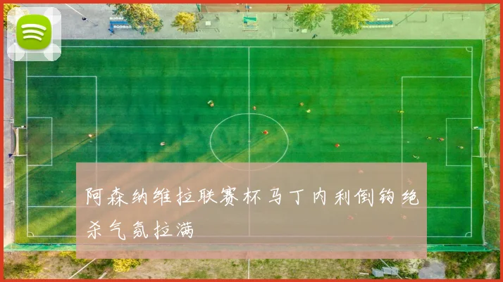 阿森纳维拉联赛杯马丁内利倒钩绝杀气氛拉满