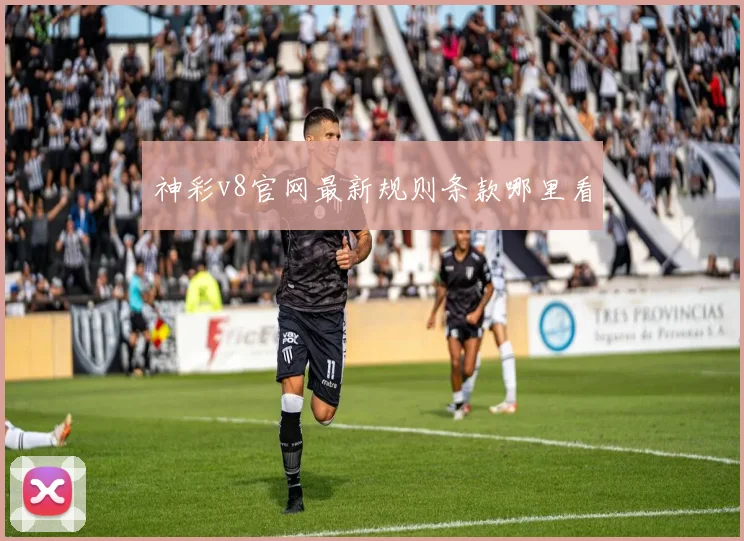 神彩v8官网最新规则条款哪里看